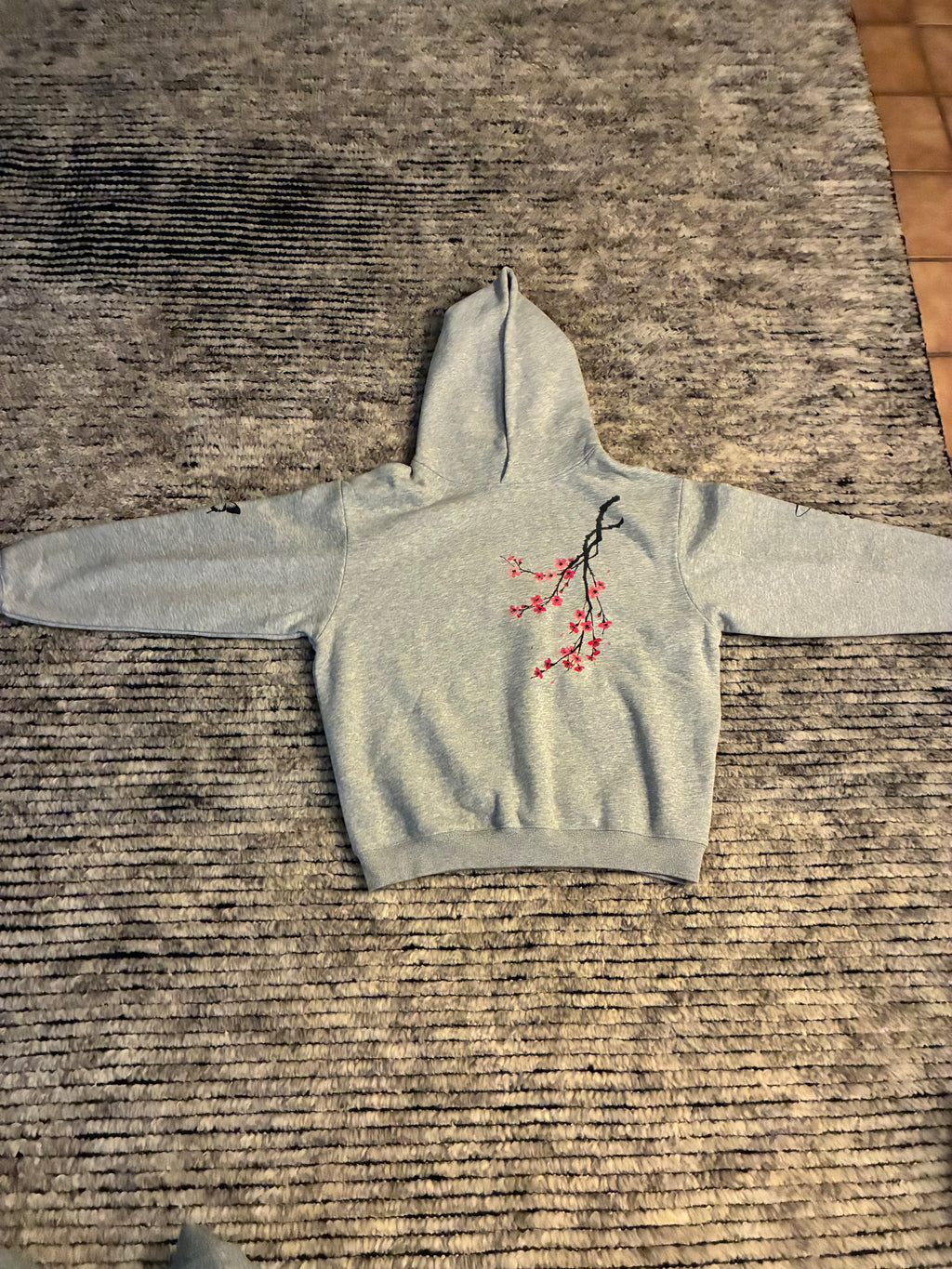 vision hoodie
