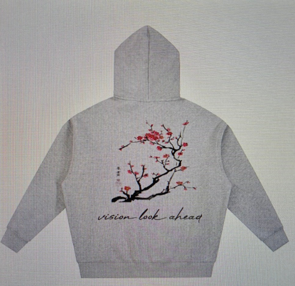 vision "look ahead" hoodie